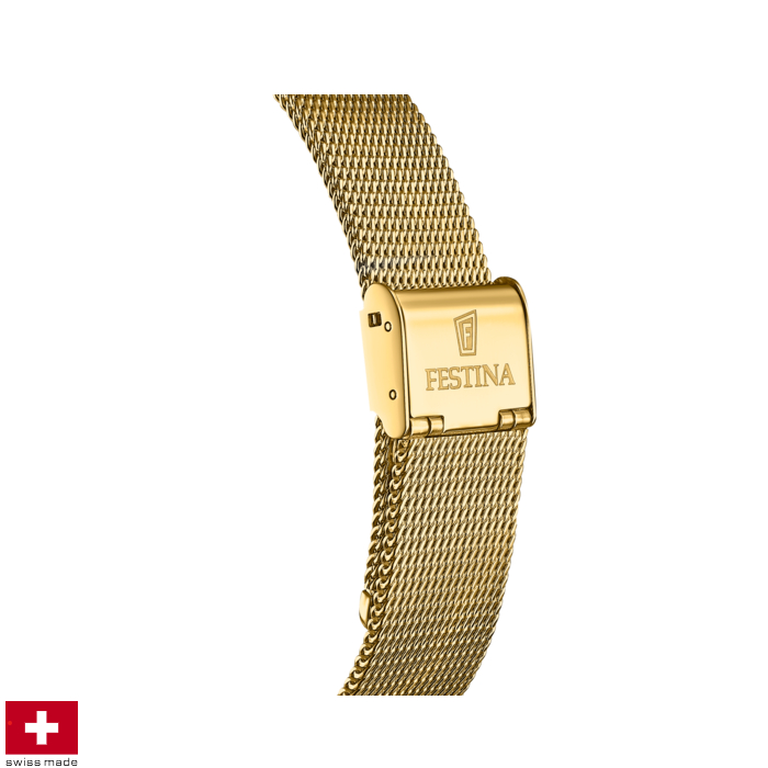 Festina Swiss F20022/2